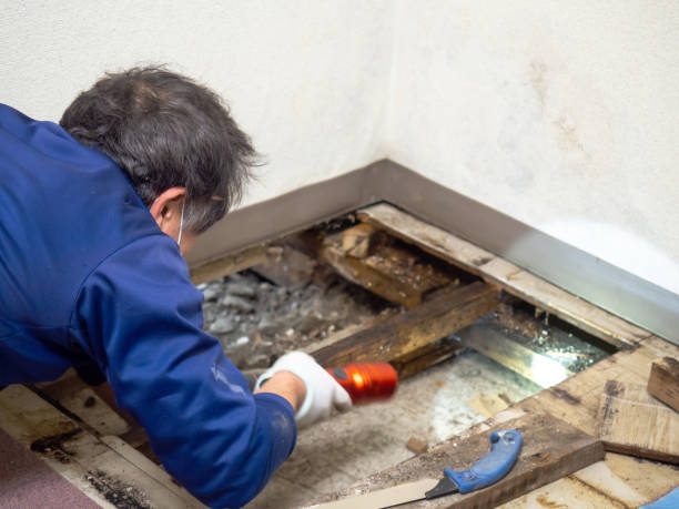 Water Damage Restoration in Center Line, MI