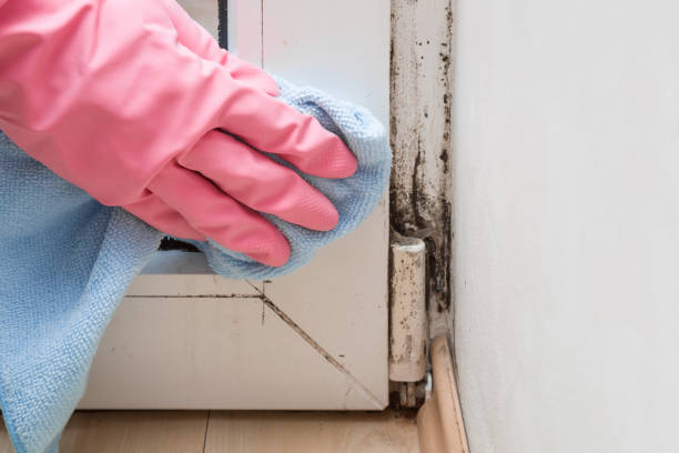 Best Mold Testing  in Center Line, MI